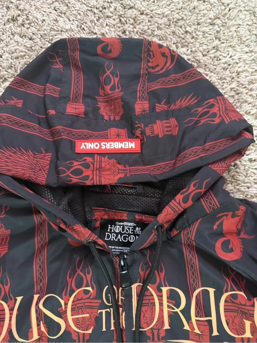 House of the Dragon Graphic Hoodie - Multi-Color Dragon Design